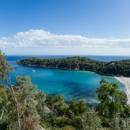 Villa La Terrazza Sul Mare - Goelba Fetovaia